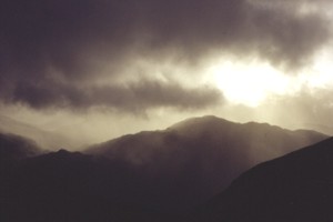 zufällig gewähltes Bild